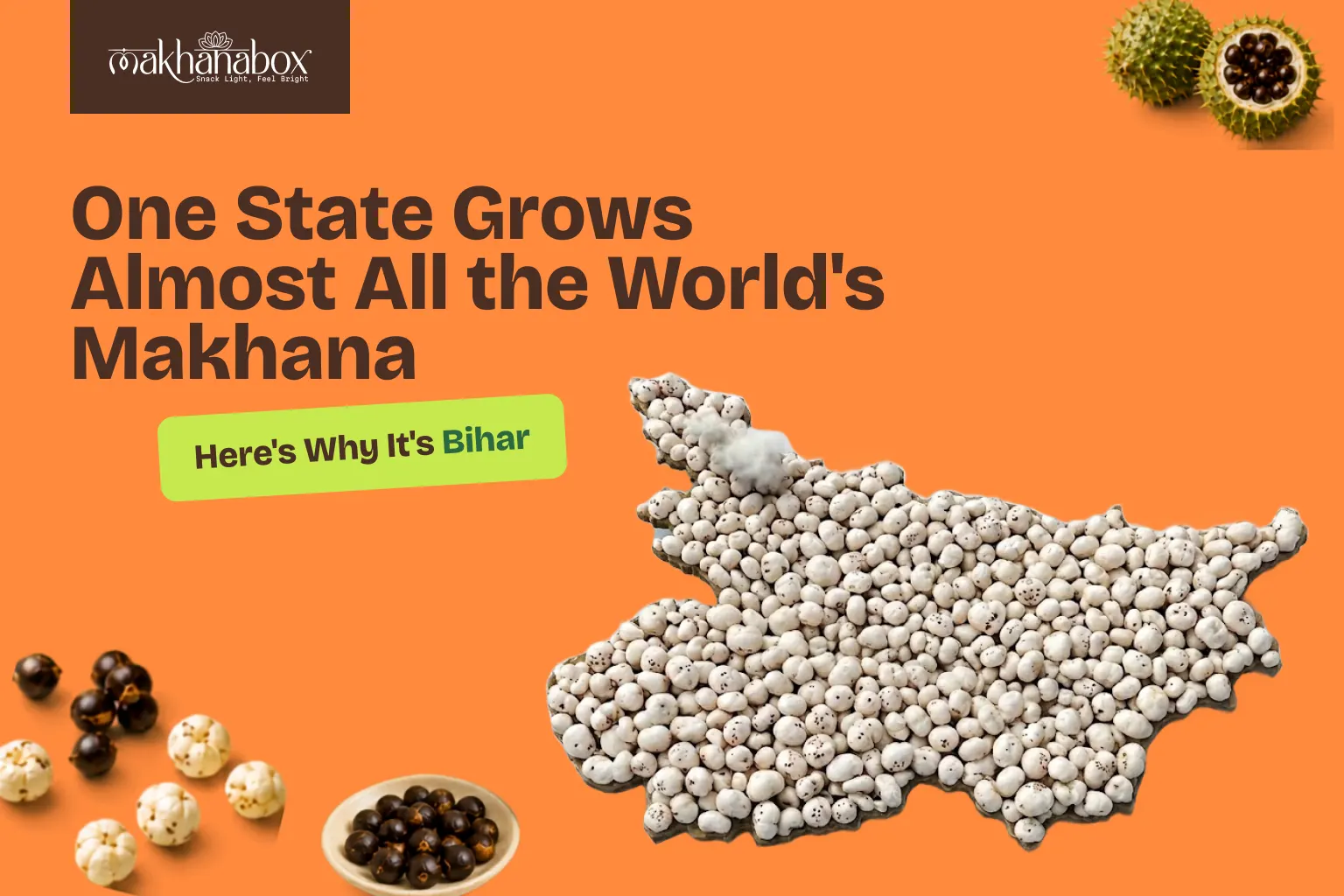 One State Grows Almost All the World's Makhana — Here's Why It's Bihar