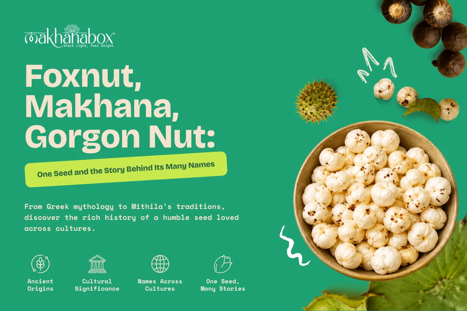Foxnut, Makhana, Gorgon Nut: One Seed and the Story Behind Its Many Names