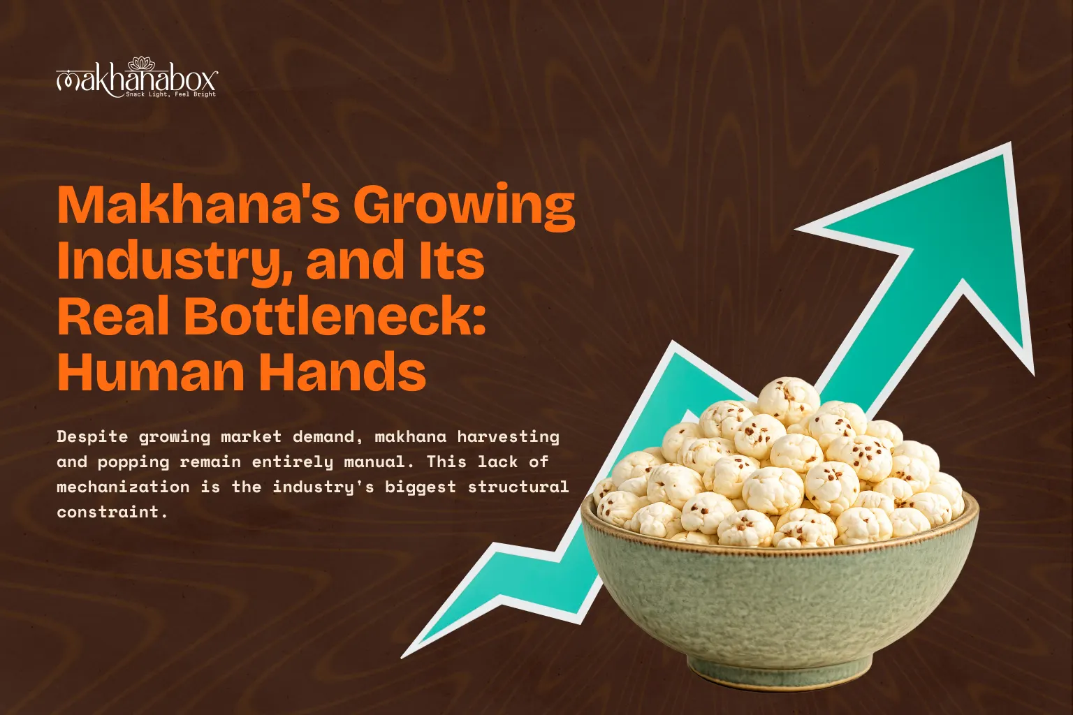 Makhana's Growing Industry, and Its Real Bottleneck: Human Hands