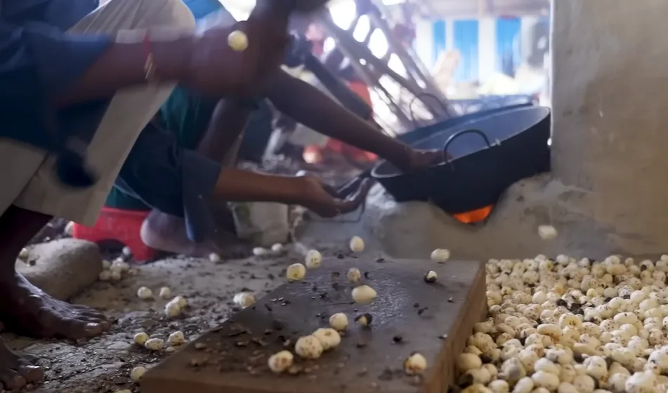 Dried makhana seeds popping into phool makhana over heat